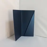 для госструктур