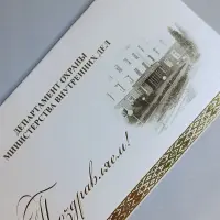 силовые структуры