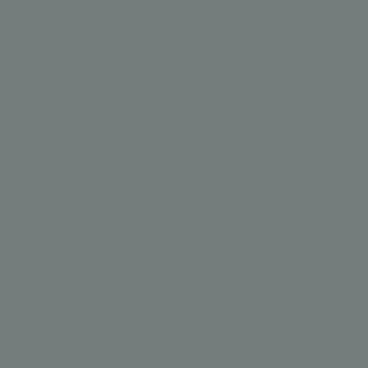 Пленка Oracal 641 Grey