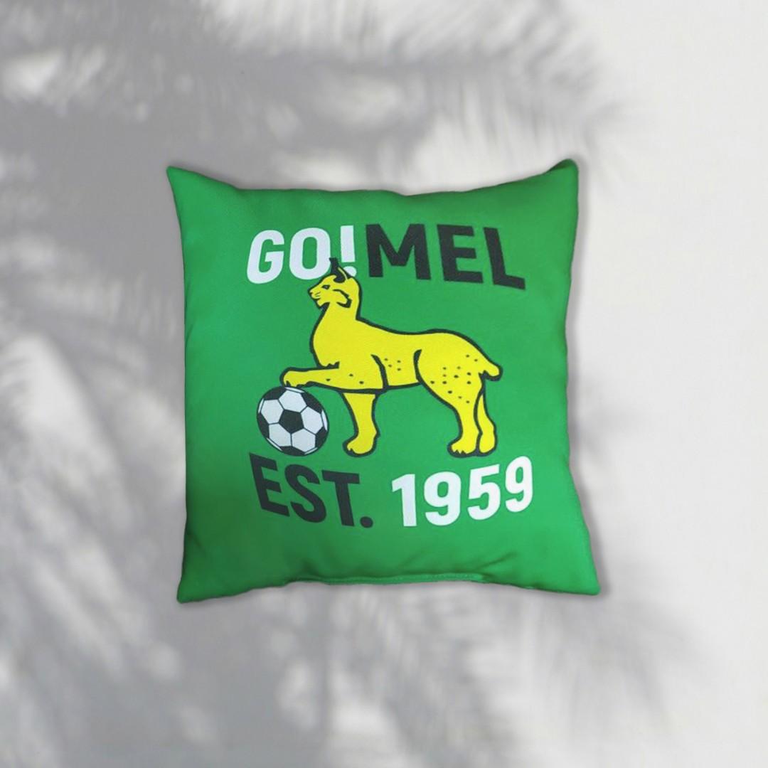 Футбольный клуб