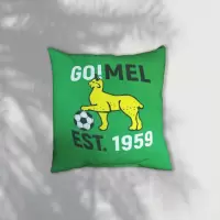 Футбольный клуб