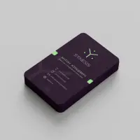 IT-компания Synesis